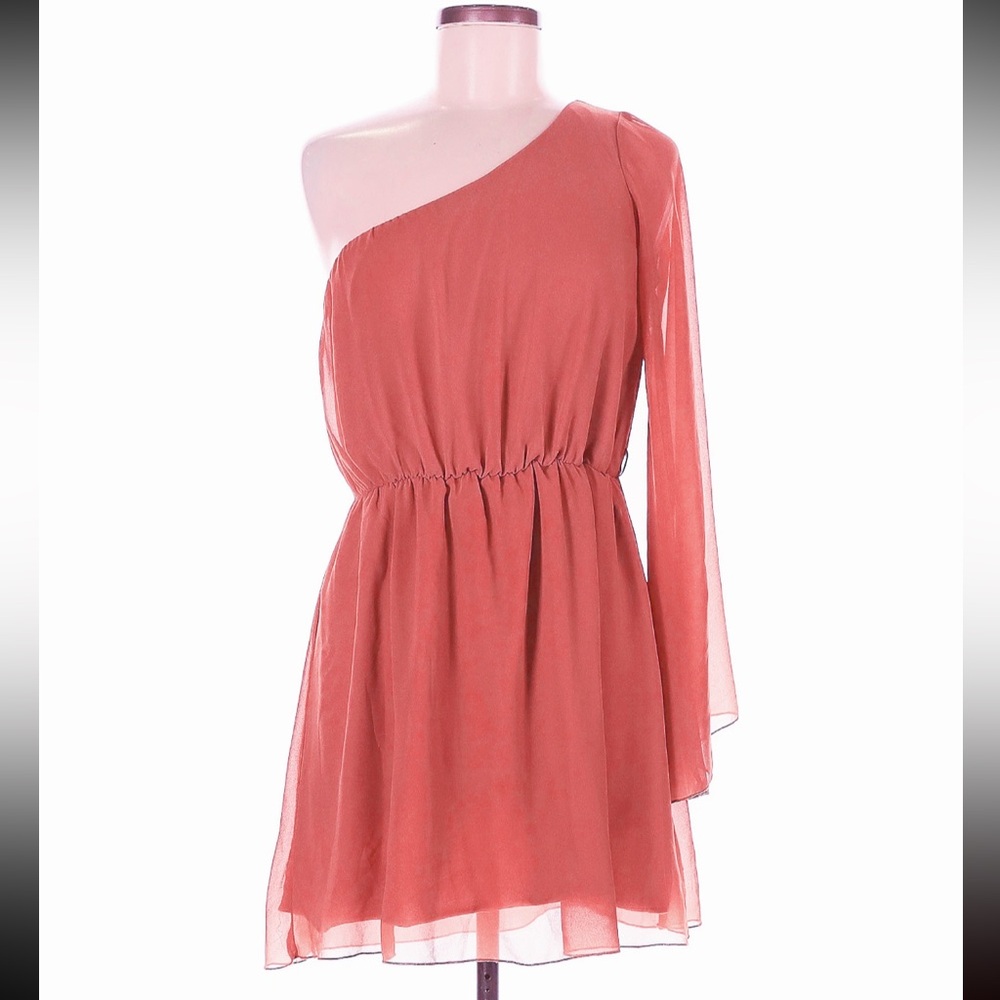 LUSH Dusty Rose / Mauve Mini Dress